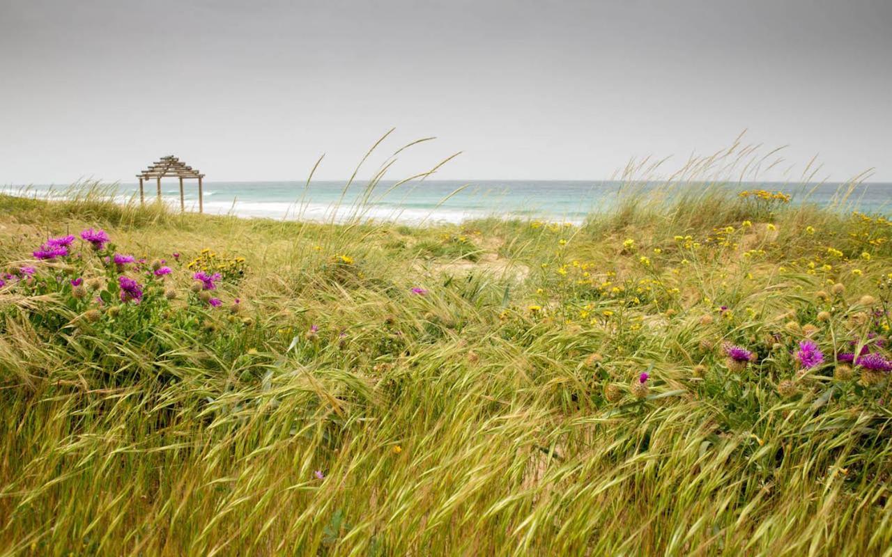 Romantic Beach Cabin - Playa El Palmar El Palmar  Exterior foto